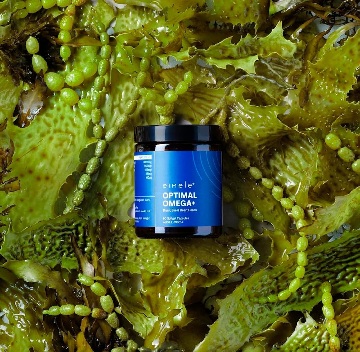 plant-based-omega-3-epa-dha-supplement-for-brain-eye-heart-health---60-vegan-softgel-capsules-with-antioxidant-support-6