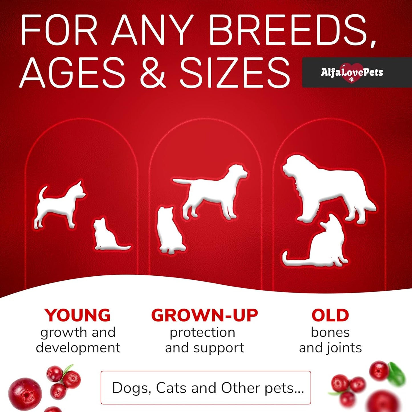 alfa-love-pets-liquid-multivitamin-for-dogs-and-cats---10-in-1-b-complex-c-d3---supports-digestion-urination-hip-joint-skin-coat---cranberry-flavor---2-oz-7