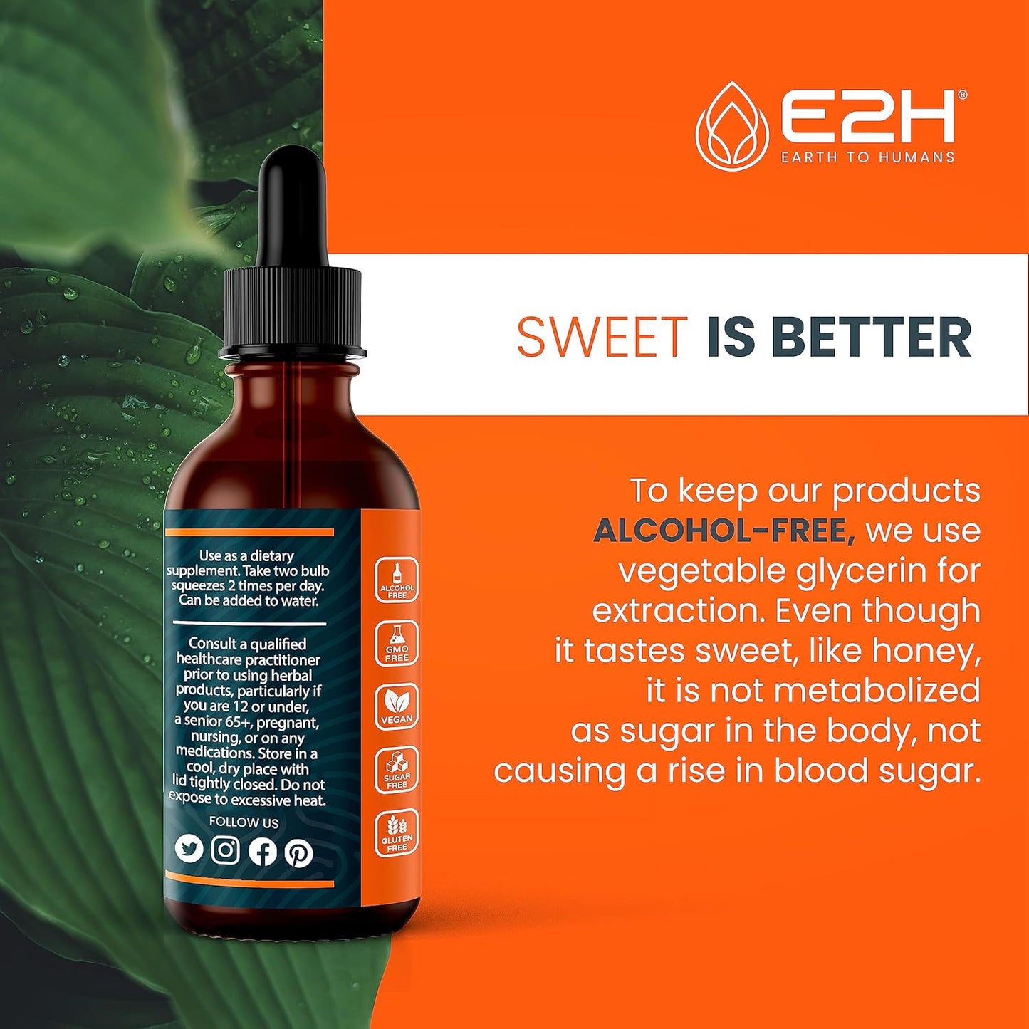 e2h-liquid-turmeric-curcumin-with-black-pepper-seed-for-joint-support---vegan-non-gmo---2-fl-oz-7