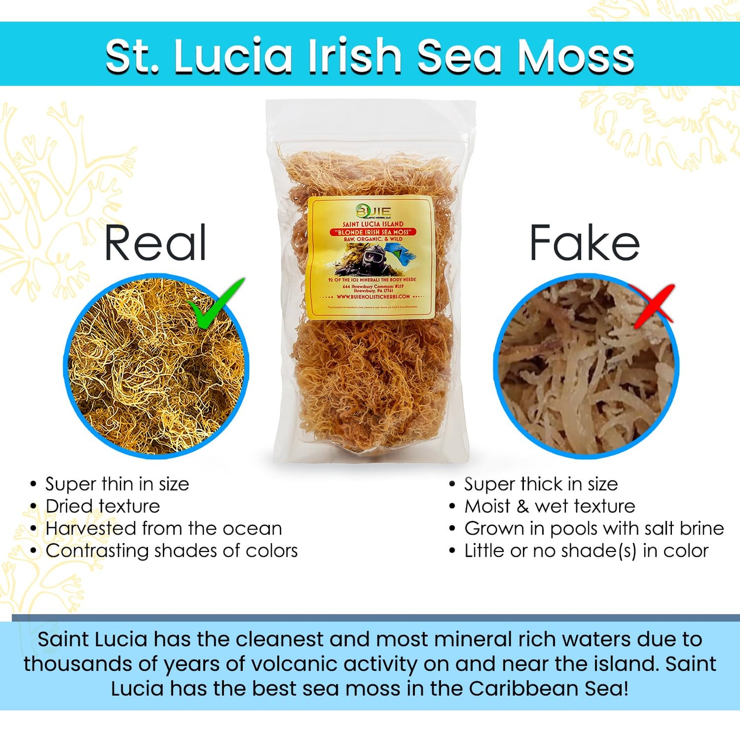 wildcrafted-golden-irish-sea-moss-gel-making-kit---dr-sebi-inspired-nutrient-rich-pure-natural-raw-sun-dried-sea-moss-for-health-wellness-8-oz-2