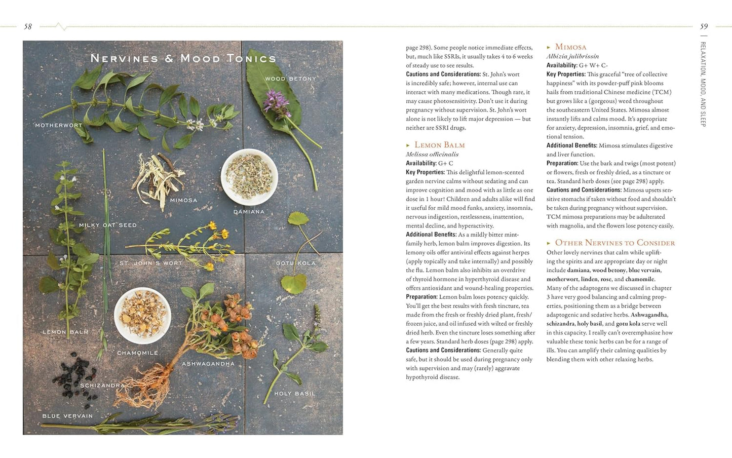 herbal-guide-to-holistic-self-care-for-achieving-body-balance-4