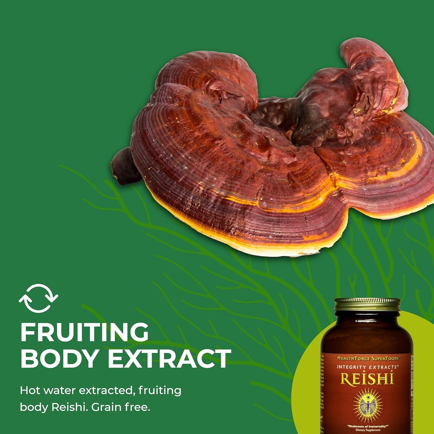HealthForce SuperFoods Integrity Extracts Reishi Powder 140g - Organic Mushroom Extract for Immune Support and Wellness - Espot.com.au