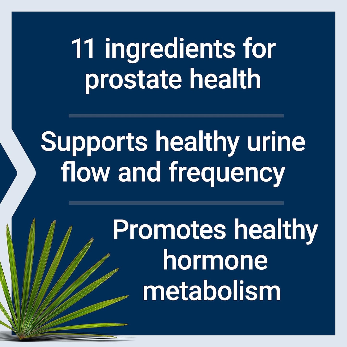 premium-prostate-health-and-omega-3-fish-oil-supplement-for-longevity-and-wellness-4