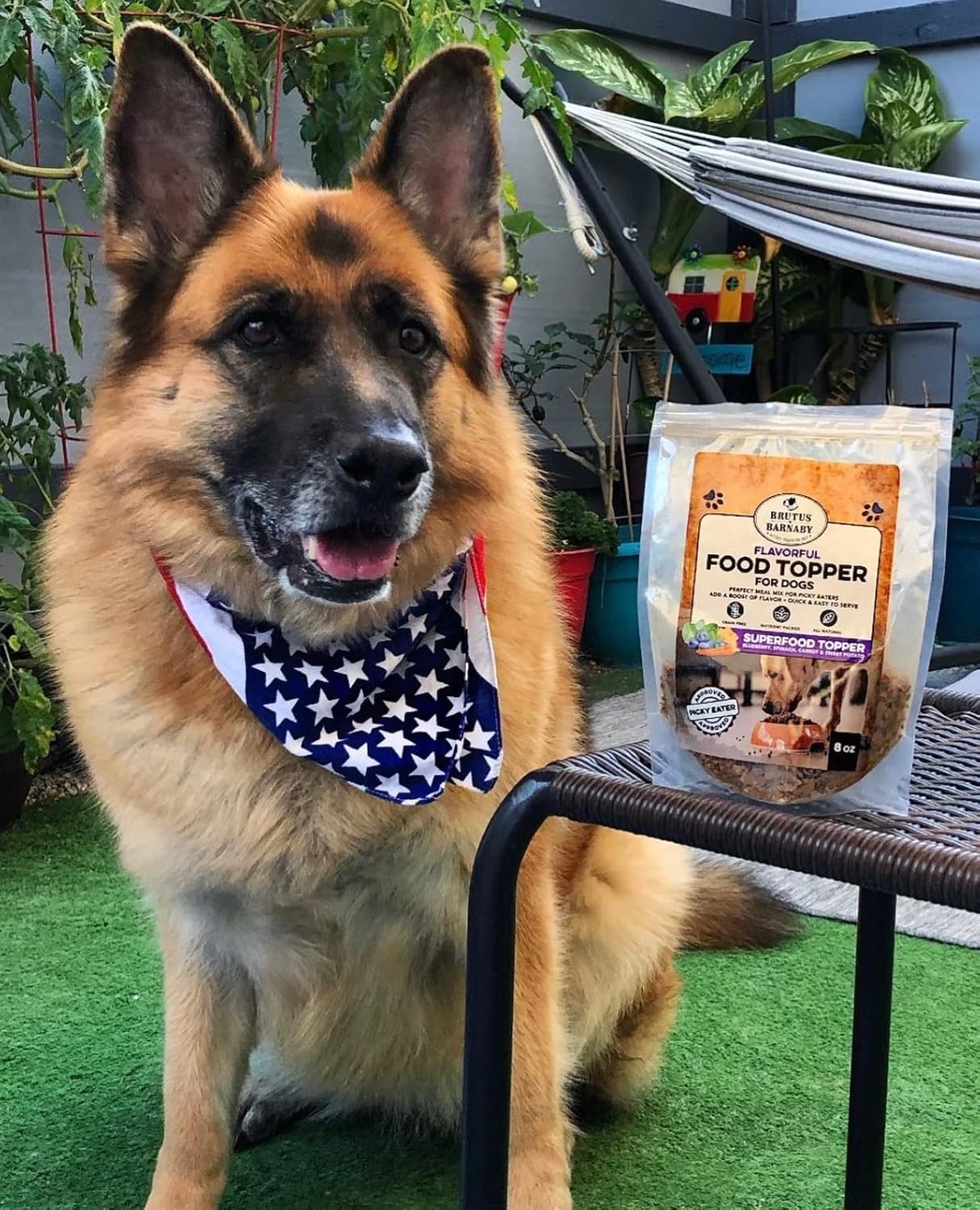 brutus-barnaby-dog-food-topper-with-super-foods-for-picky-eaters---vegan-flavor-packed-mix-with-blueberries-carrots-spinach-sweet-potato---8oz-9