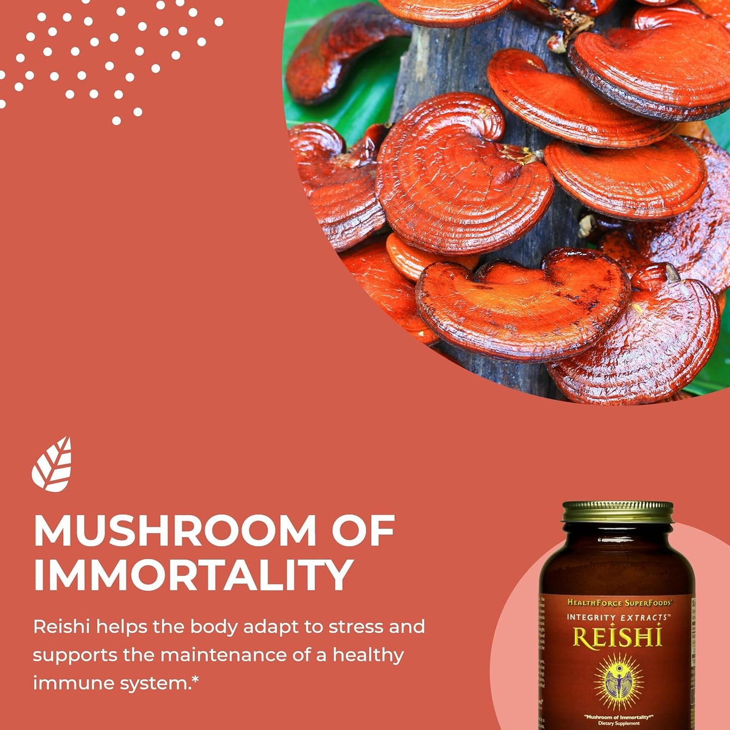 HealthForce SuperFoods Integrity Extracts Reishi Powder 140g - Organic Mushroom Extract for Immune Support and Wellness - Espot.com.au