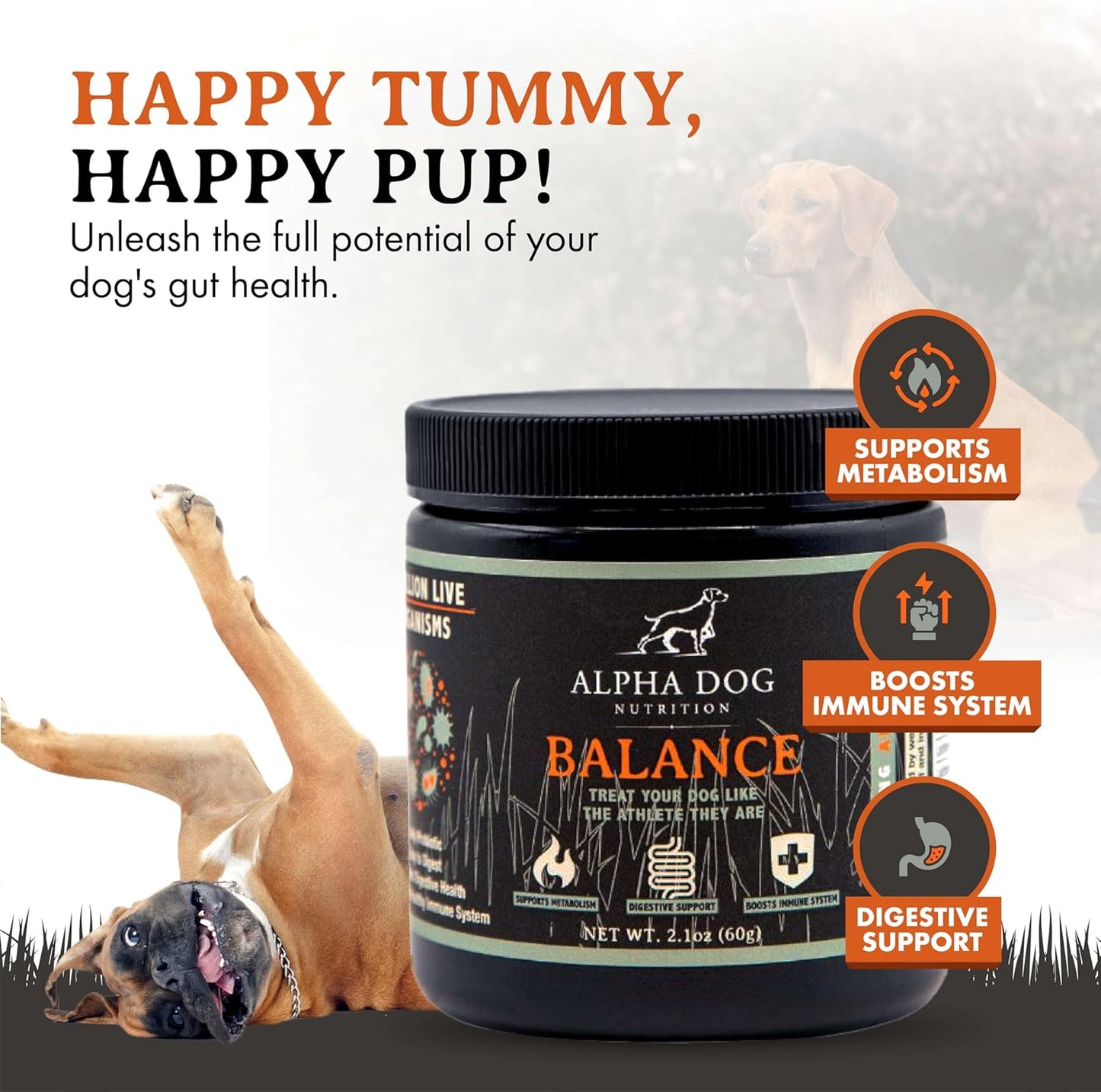 alpha-dog-nutrition-balance-probiotic-blend-for-canines---gut-health-supplement-with-probiotics-and-prebiotics-4