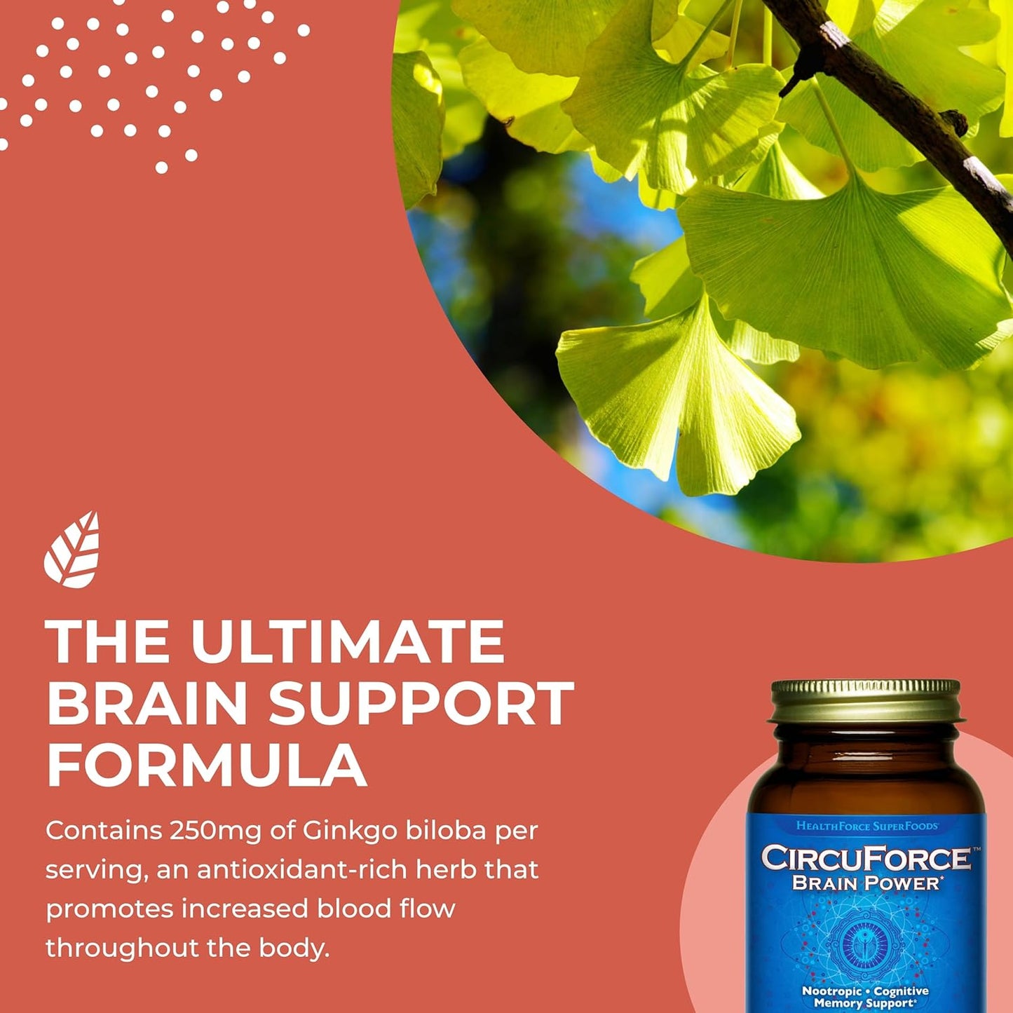healthforce-superfoods-circuforce-brain-power-capsules---90-count-vegan-formula-for-cognitive-support-4