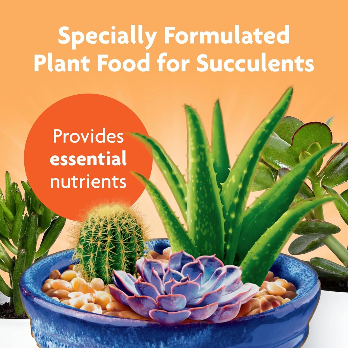 liquid-succulent-plant-food-for-indoor-plants-8-oz-bottle-pack-of-3---miracle-gro-formula-for-cacti-aloe-vera-jade-plants-and-more-2
