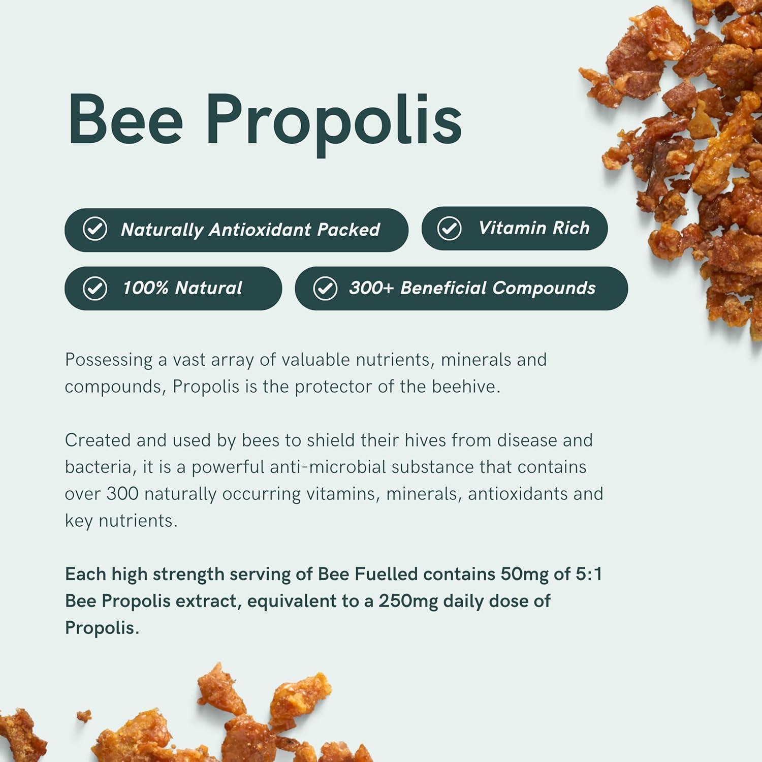 dr-sosnowskis-bee-fuelled-daily-energy-supplement---boost-mental-physical-energy-support-metabolism-fight-fatigue---60-vegetable-capsules-5