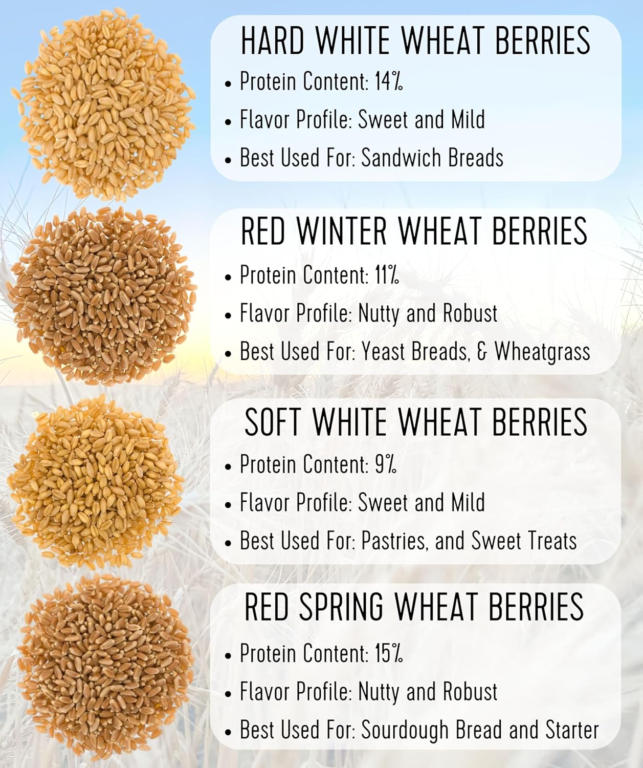 certified-glyphosate-residue-free-hard-white-wheat-berries---5-lbs---non-gmo-non-irradiated-kosher---family-farmed-in-washington-state---field-traced---burlap-bag-8