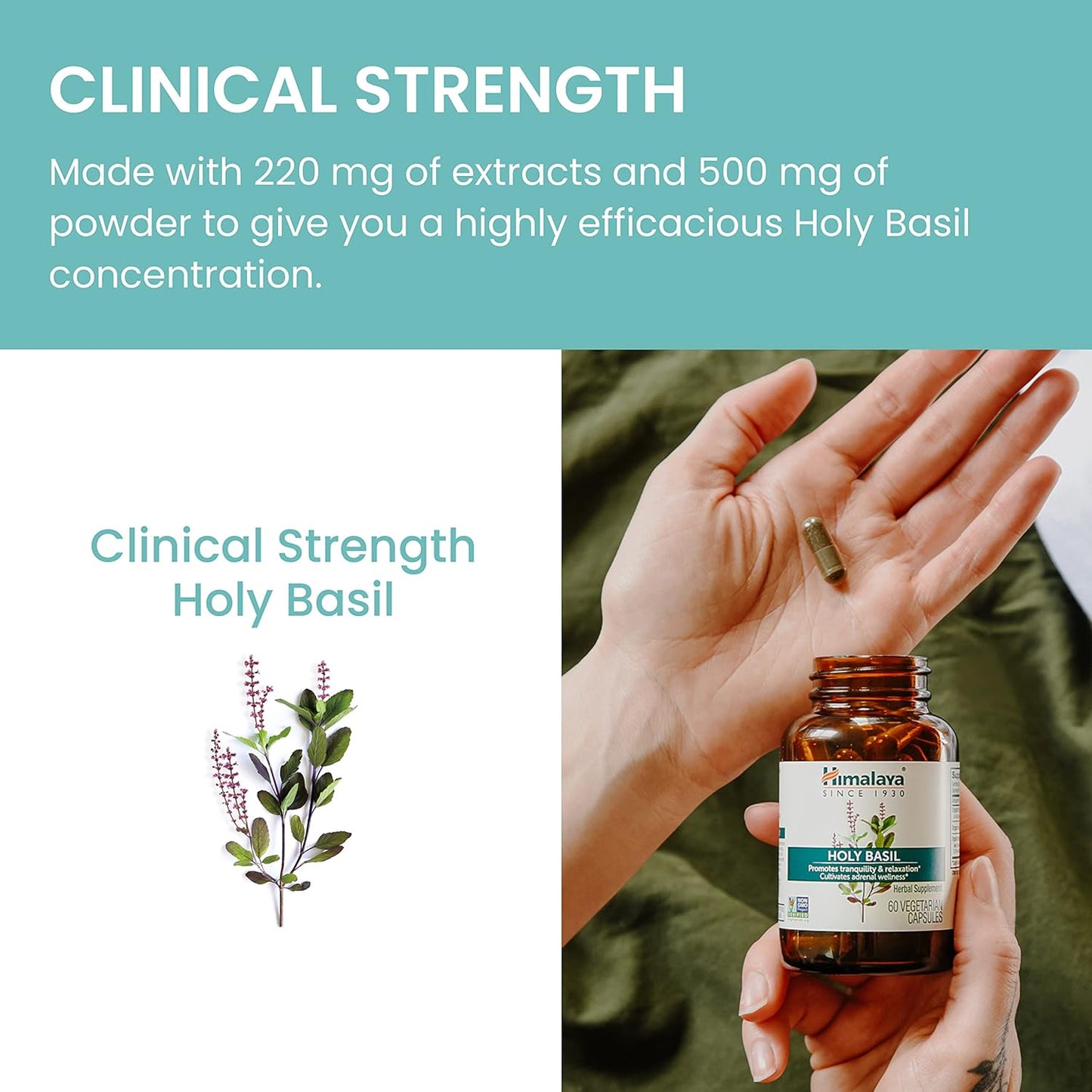 Himalaya Holy Basil Tulsi Herbal Supplement 60 Capsules - Stress Relief, Relaxation, Calm, Non-GMO, Vegan - 2 Pack, 720mg - Espot.com.au