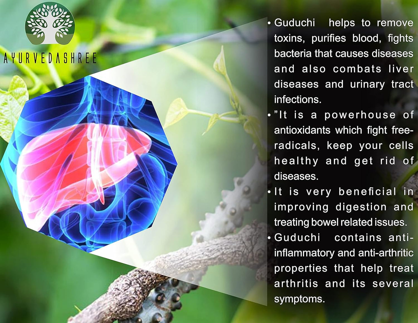 200g-ayurvedashree-giloy-powder---herbal-immune-support-with-tinospora-cordifolia---non-gmo-gluten-free---100-natural---boosts-immune-system-4