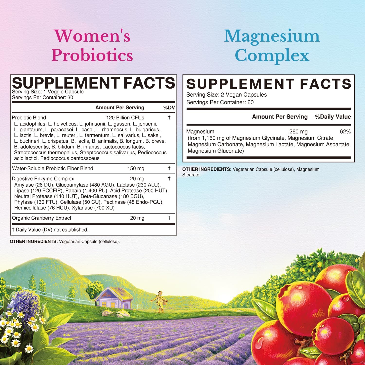 womens-probiotic-magnesium-complex-bundle---30-probiotic-capsules-120-magnesium-capsules---vitalitown-2