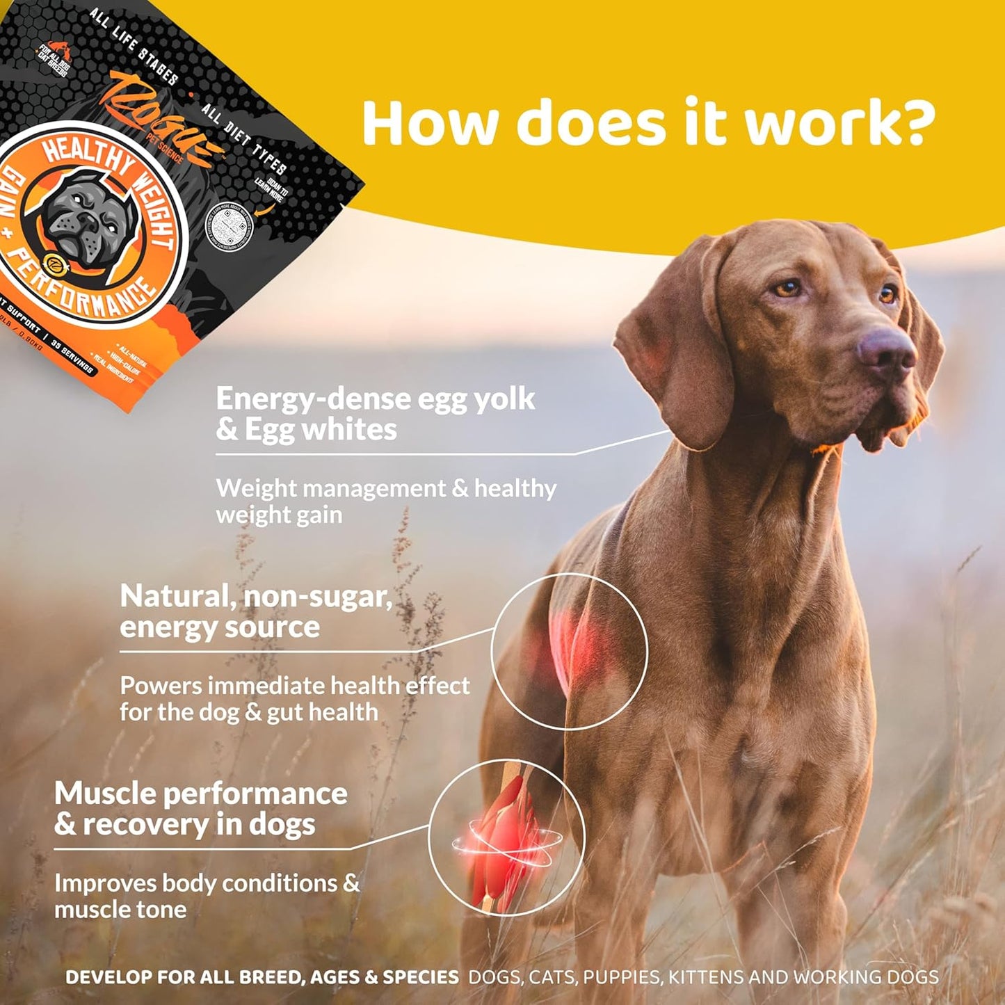 rogue-pet-science-healthy-weight---natural-high-calorie-dog-cat-food-topper-for-weight-gain-gut-health-energy---12-lb-3