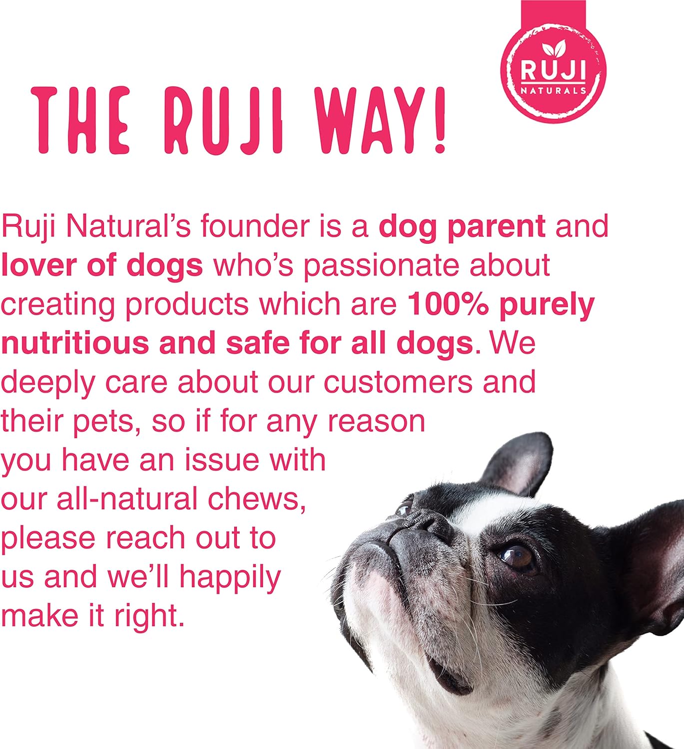 organic-moringa-superfood-dog-supplement-for-immune-support-and-overall-health---90-natural-multivitamin-chews-by-ruji-naturals-7