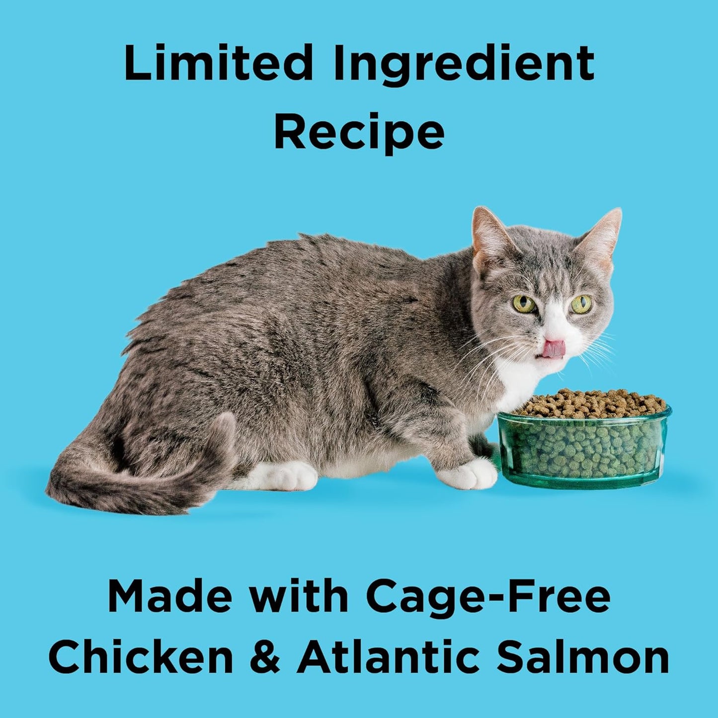 indoor-cat-health-chicken-salmon-recipe-dry-food---bixbi-liberty-3lb-2
