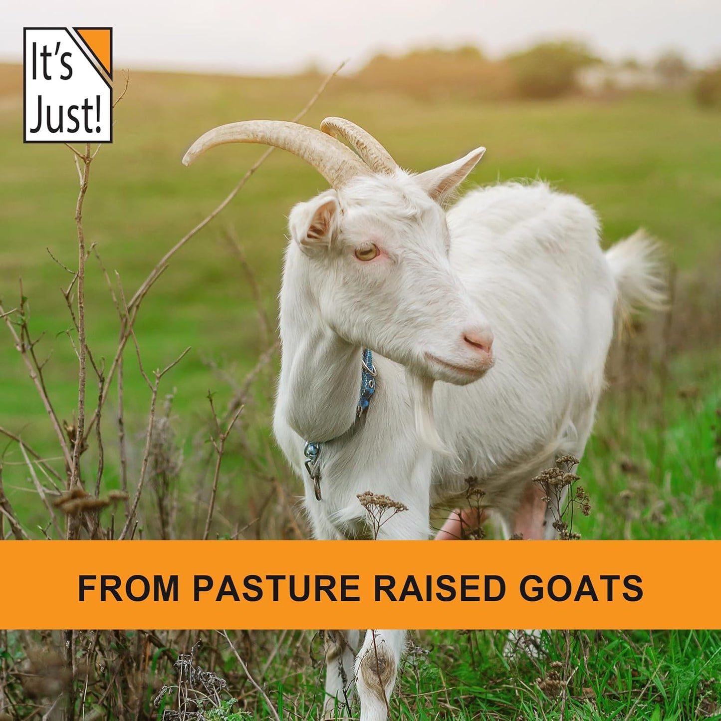 USA Made Goat Whey Protein Concentrate from Pasture Raised Goat Milk - Pure One Ingredient Formula for Optimal Nutrition - Espot.com.au