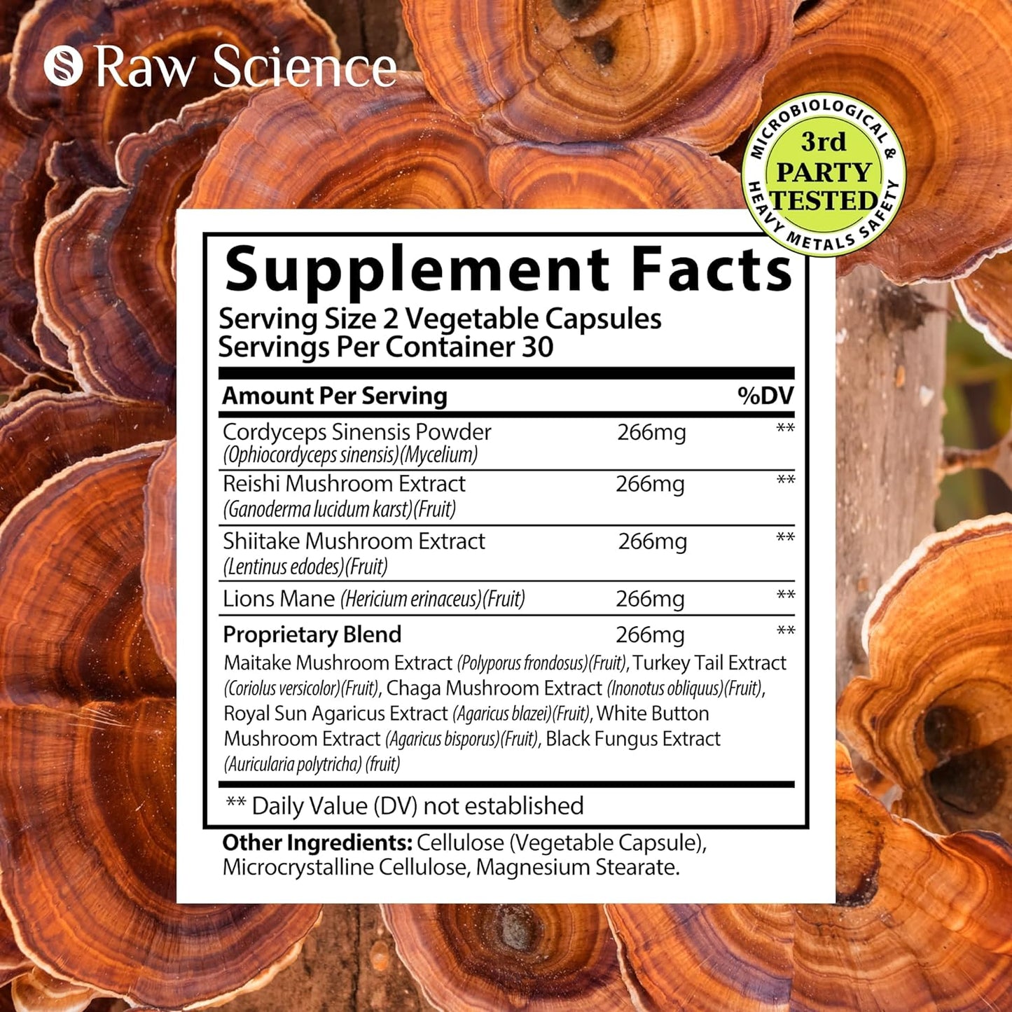 mushroom-nootropic-supplement-with-lions-mane-reishi-chaga-for-brain-focus-support---60-capsules-2
