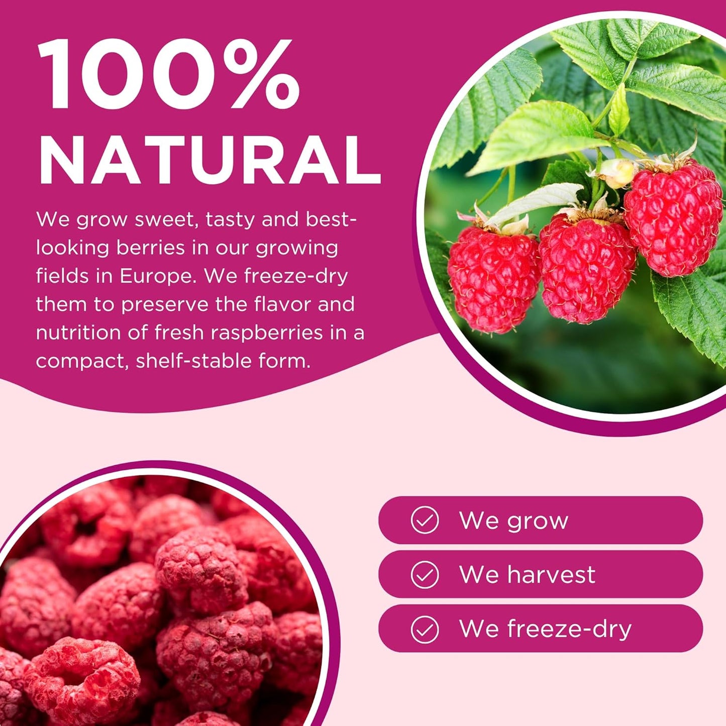 freeze-dried-raspberry-powder-for-baking---176-oz-sugar-free-100-natural-flavoring-for-smoothies-sustainably-grown-gluten-free-vegan-powder-4