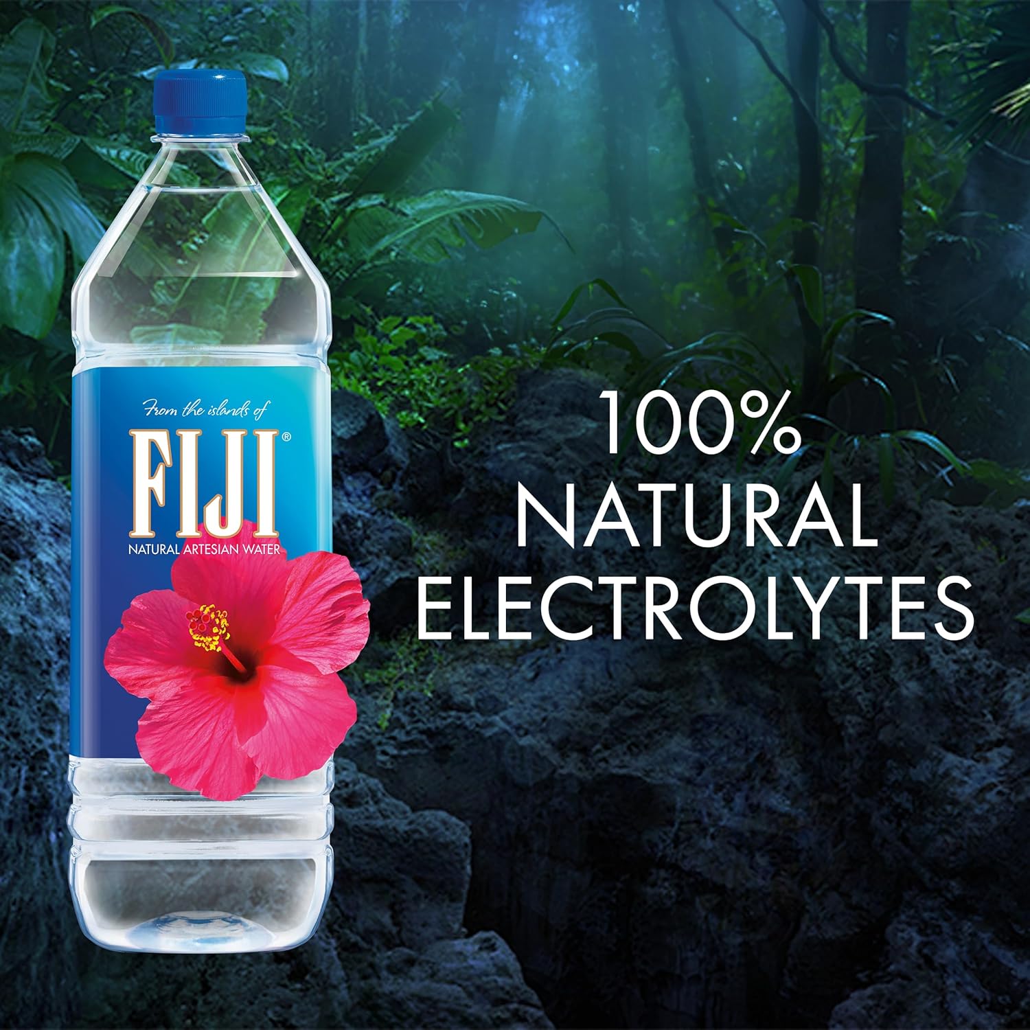 bulk-pack-of-12-fiji-natural-artesian-bottled-water-15-liters---rich-in-100-natural-electrolytes---hydrate-your-body-5