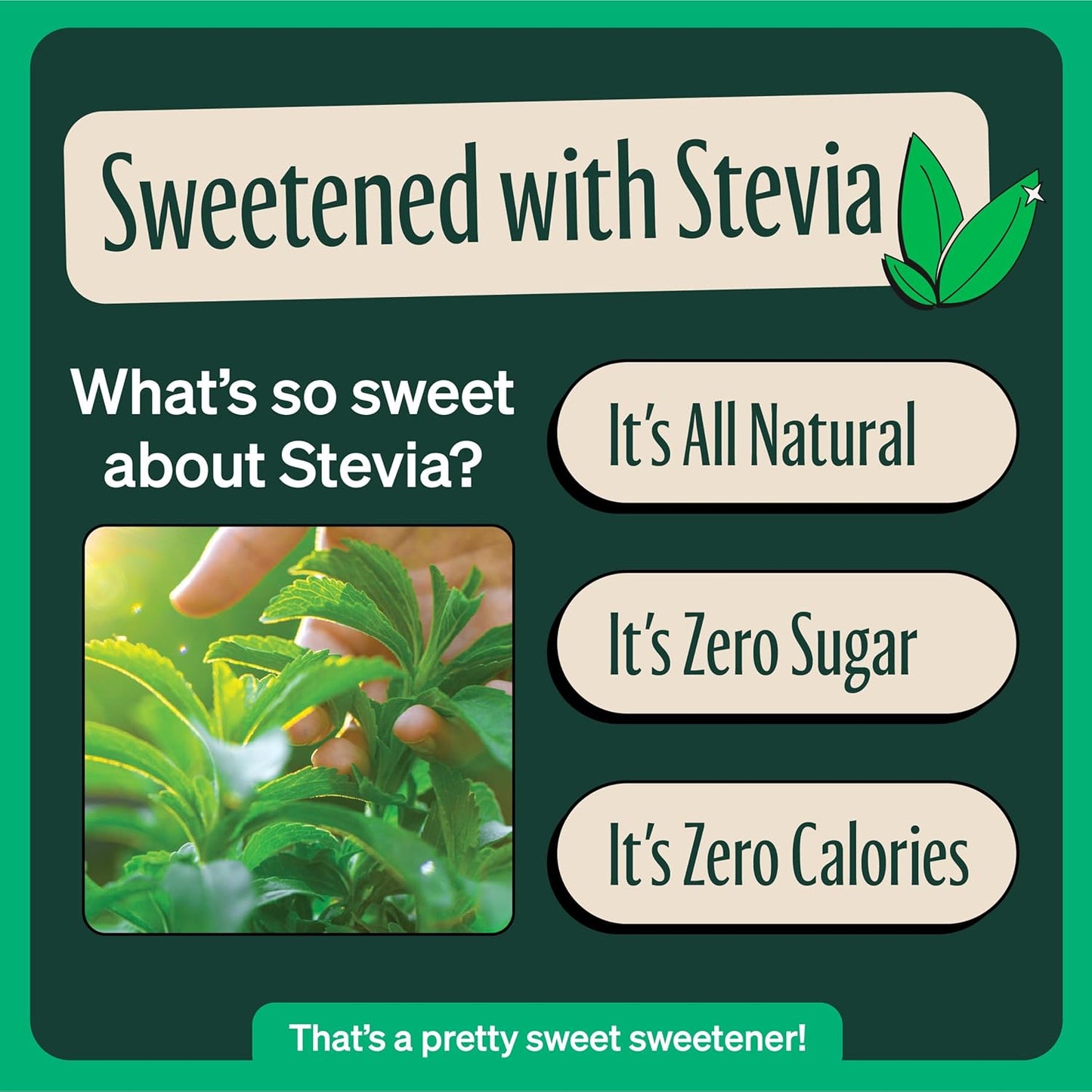 zevia-black-tea-with-raspberry-12-oz-cans-12-pack-zero-sugar-naturally-sweetened-non-gmo-gluten-free-vegan-7