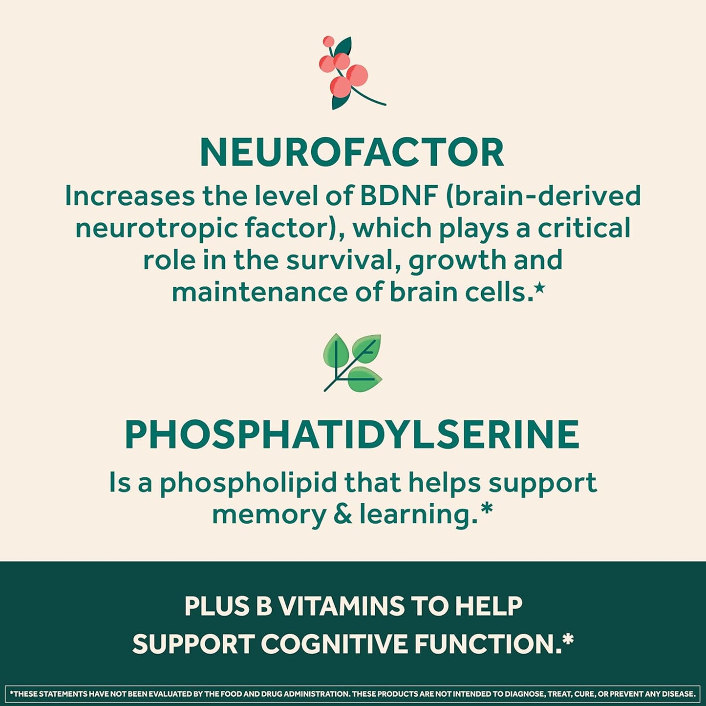 NEURIVA Ultra Decaffeinated Brain Supplement for Mental Alertness, Memory & Focus - Clinically Tested Nootropic with Cognivive, Neurofactor, Phosphatidylserine, Vitamins B6 & B12 - 14ct Capsules - Espot.com.au
