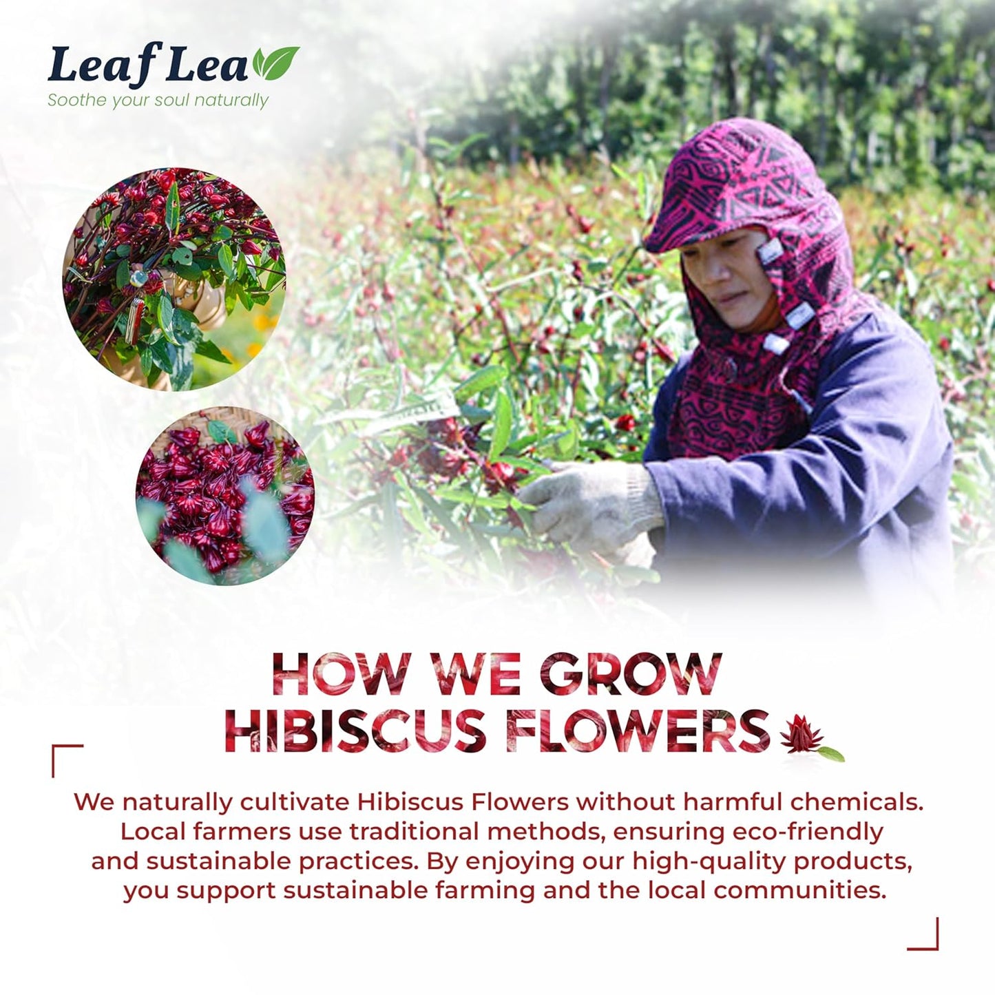 3-packs-of-leaflea-120-hibiscus-tea-bags---100-pure-herbal-tea-for-heart-health-blood-pressure-support---caffeine-free-sugar-free---rich-in-natural-goodness-8