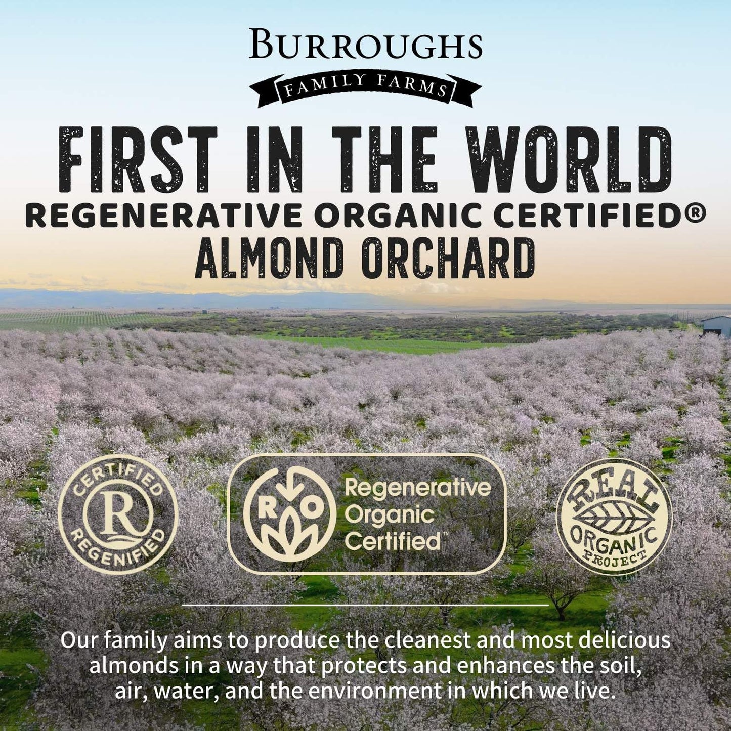 3-lb-usda-organic-raw-almonds-from-burroughs-family-farms---regenerative-organic-certified---gluten-free-non-gmo-vegan-paleo-keto---high-protein-nutrient-rich-almonds-for-almond-milk-2