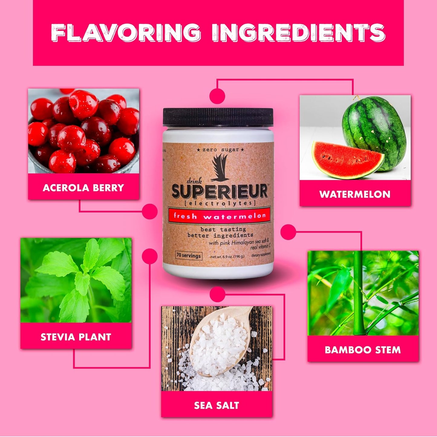 plant-based-electrolyte-supplement-with-sea-minerals-for-hydration-recovery---keto-friendly-non-gmo-zero-sugar-vegan-sports-drink-powder---watermelon-flavor-70-servings-3