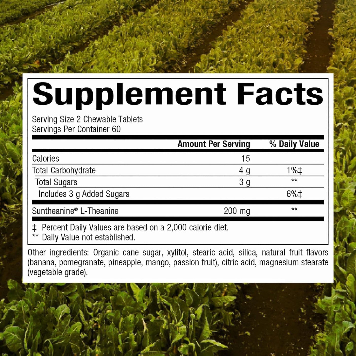 natural-factors-stress-relax-chewable-suntheanine-l-theanine-100-mg-tropical-fruit-flavor---120-tablets-for-non-drowsy-stress-support-and-mental-calmness-2