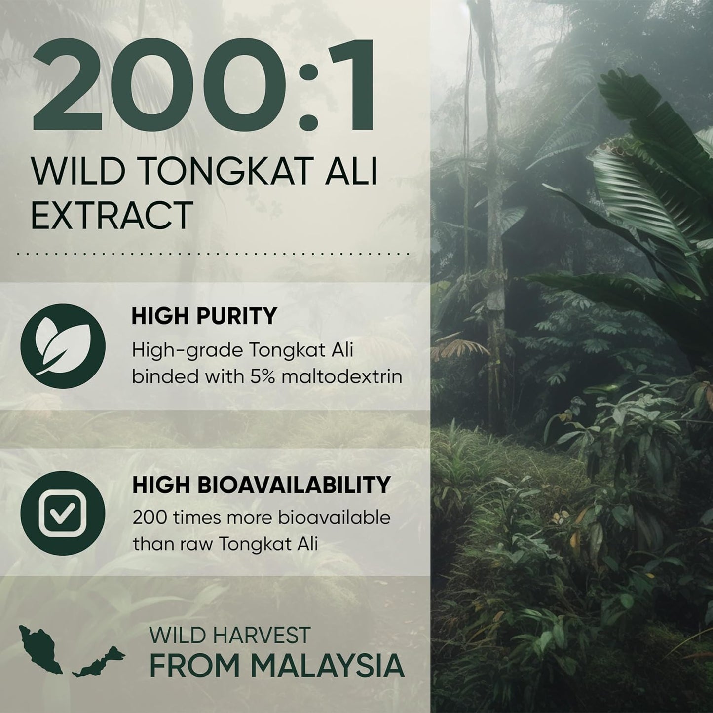 organic-bilberry-liquid-extract-for-eyes-tongkat-ali-fadogia-agrestis-powder-bundle-4