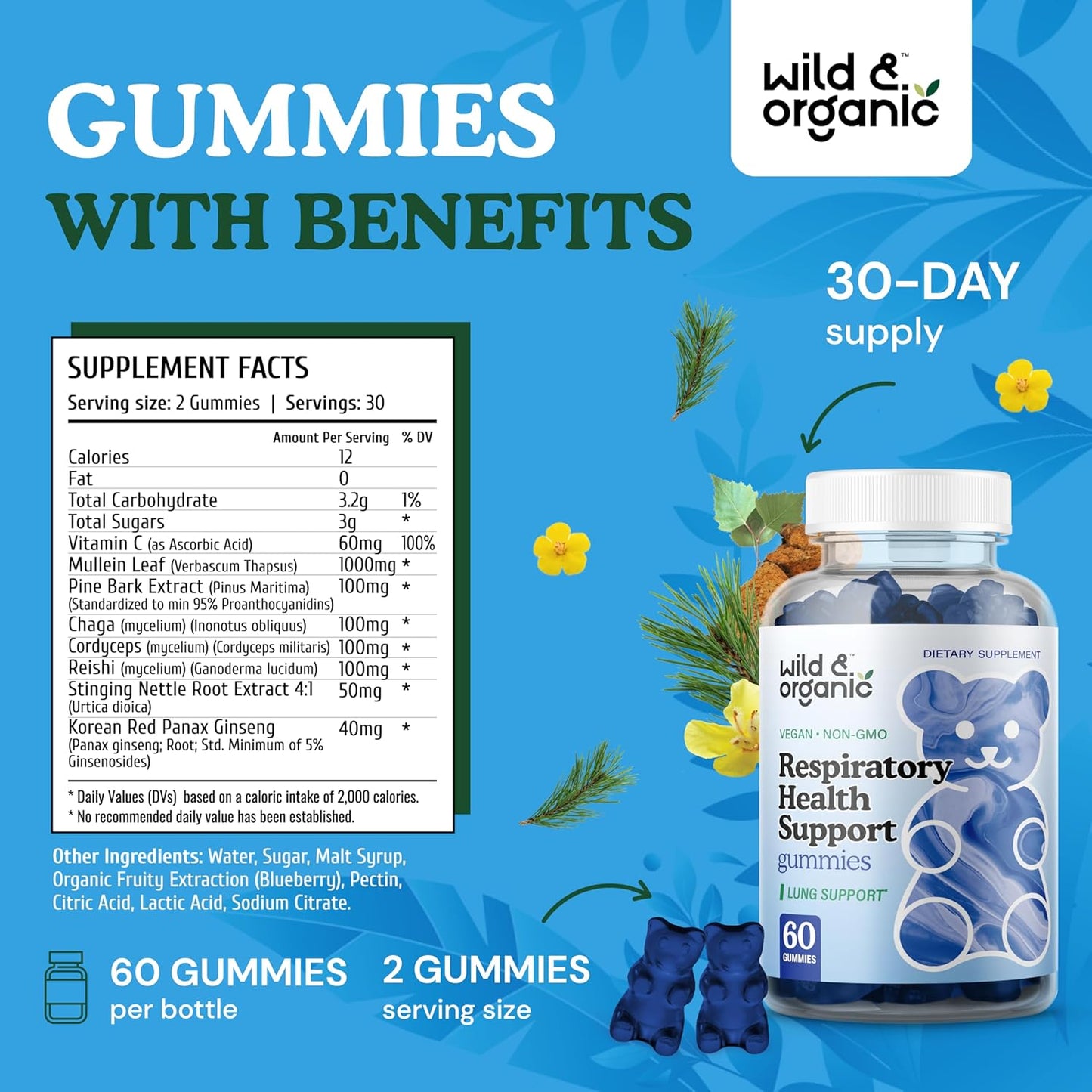 4-fl-oz-wild-organic-echinacea-goldenseal-tincture-with-lung-detox-gummies-for-immune-support-and-respiratory-health-5