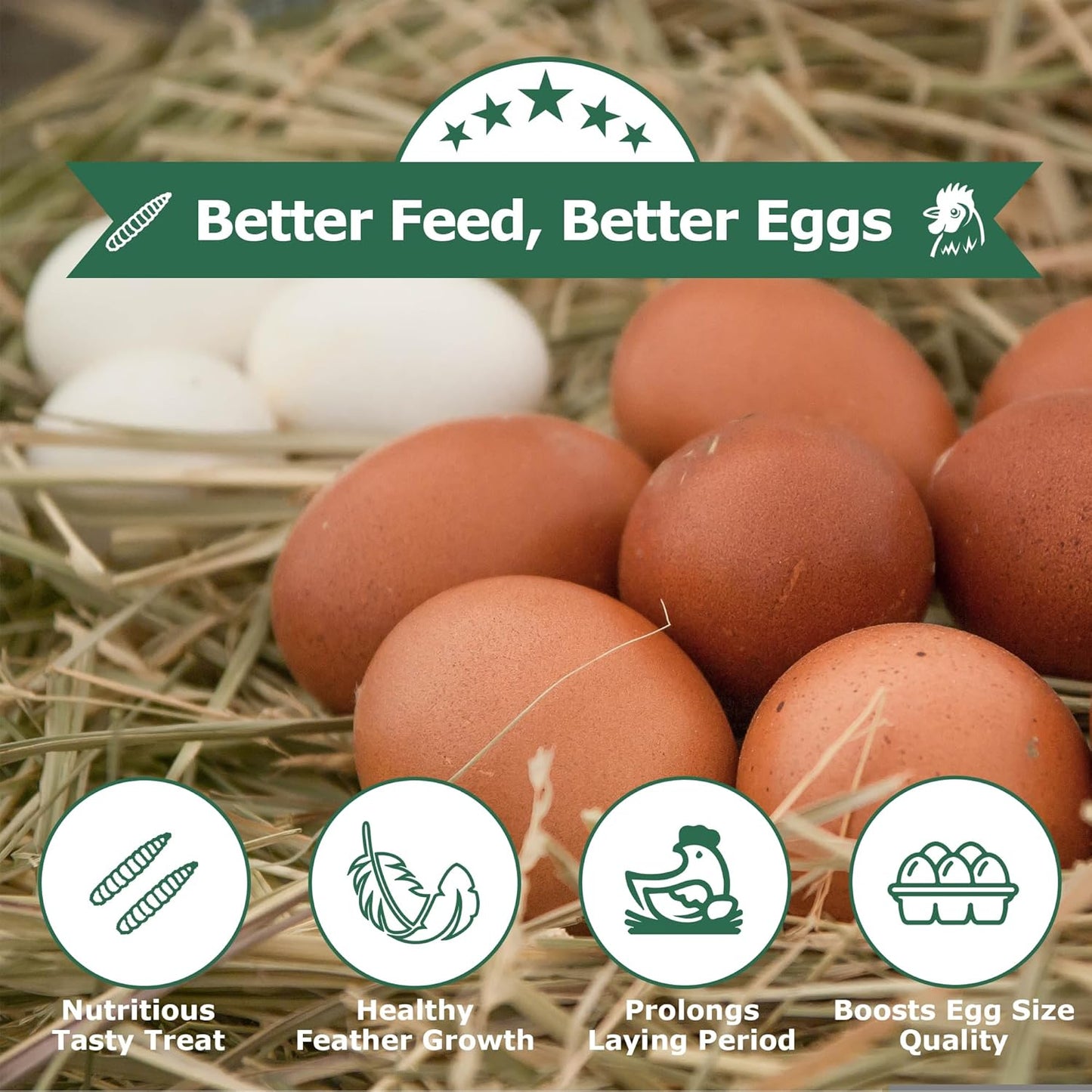 5lbs-grubsfarm-hartompet-black-soldier-fly-larvae-treats---high-calcium-non-gmo-chicken-feed-additive---superior-to-dried-mealworms-for-hens-ducks-wild-birds---85x-calcium-5