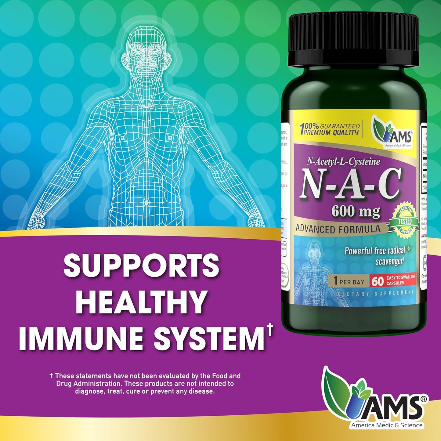 nac-supplement-600mg-for-lung-immune-support---liver-health-antioxidants---n-acetyl-cysteine-capsules---60-count-pack-4