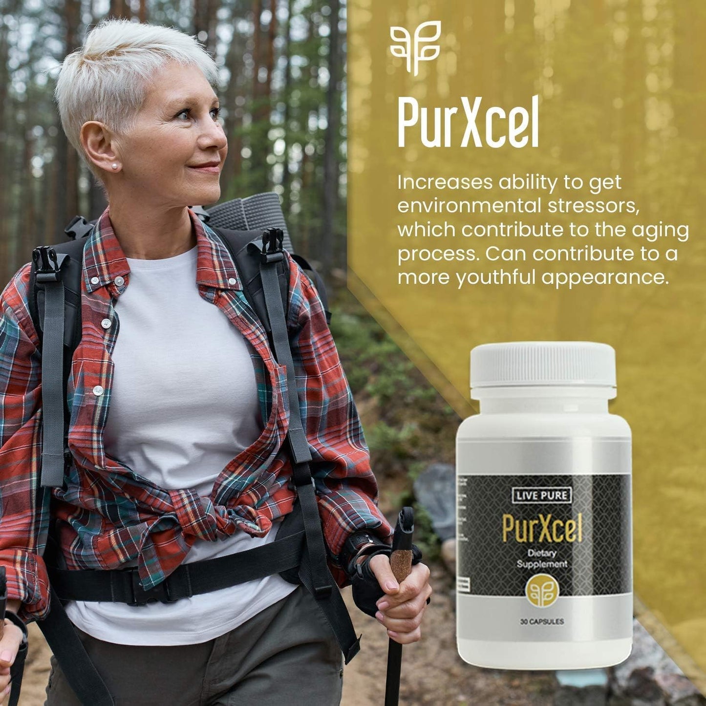 PurXcel Antioxidant Supplement - 30 Capsules for Skin, Joints & Cleansing - Rich in Glutathione & Superoxide Dismutase - Espot.com.au