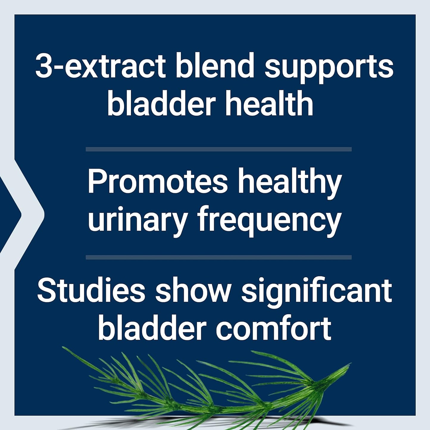 womens-bladder-support-capsules-with-horsetail-lindera-and-three-leaf-caper-extracts-for-bladder-health-and-urinary-frequency---non-gmo-and-gluten-free---60-vegetarian-capsules-4