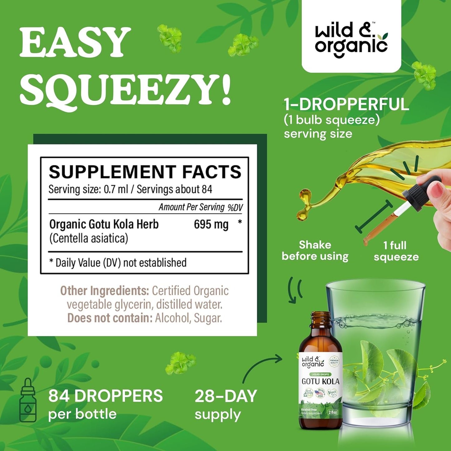 organic-gotu-kola-tincture-for-brain-support---liquid-extract-drops---vegan-alcohol-free-centella-asiatica-supplement---2-fl-oz-3