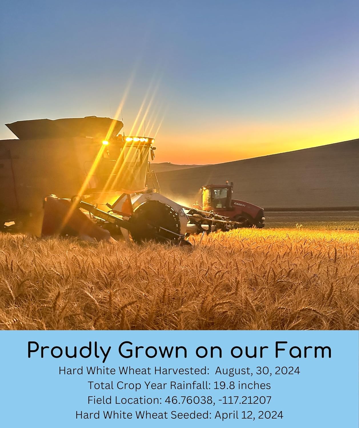 certified-glyphosate-residue-free-hard-white-wheat-berries---5-lbs---non-gmo-non-irradiated-kosher---family-farmed-in-washington-state---field-traced---burlap-bag-3