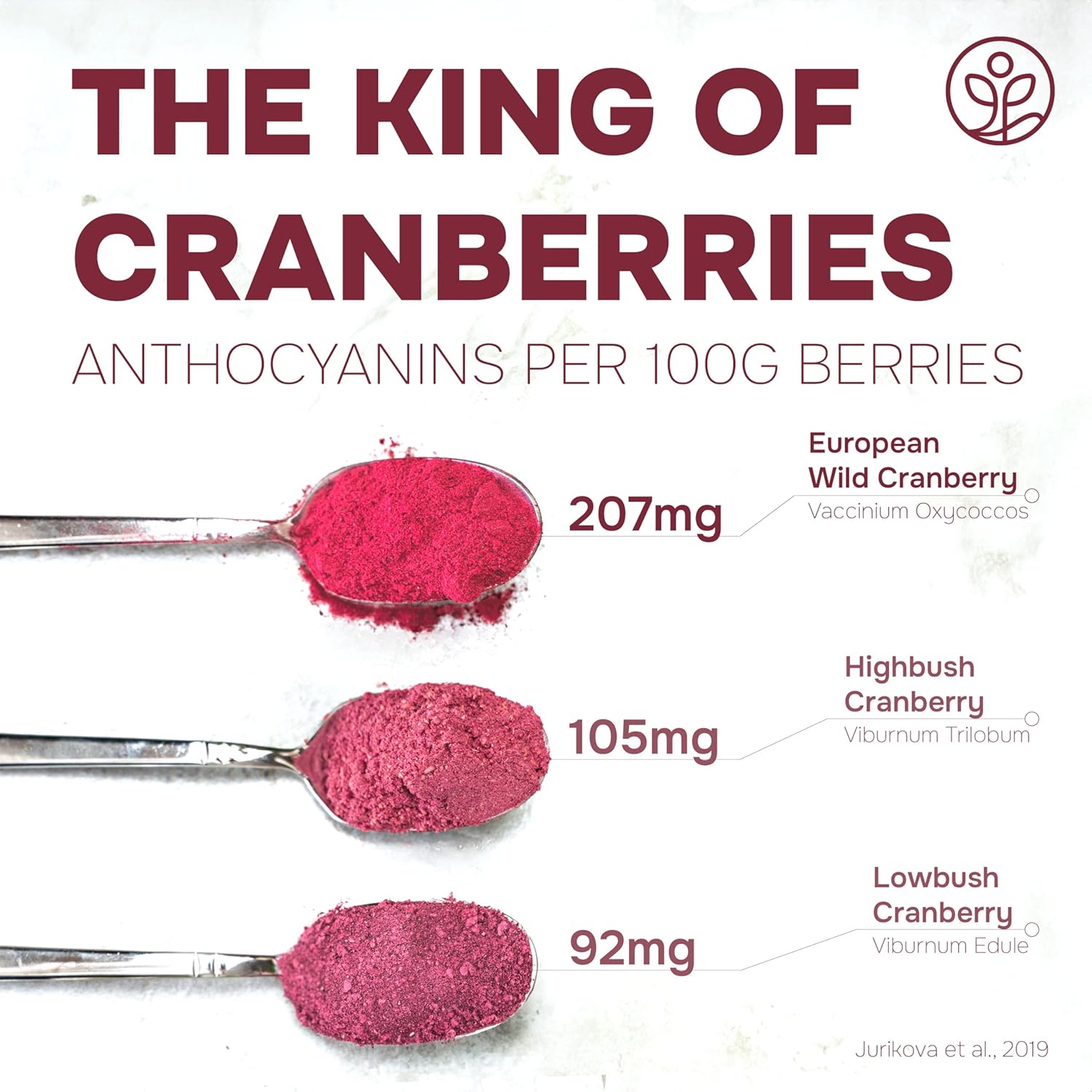 Organic Wild Cranberry Powder - 5 Ounces, USDA Certified Freeze Dried Superfood Extract from Whole Berries for Baking, Smoothies, Flavoring - Additive Filler Free - Espot.com.au