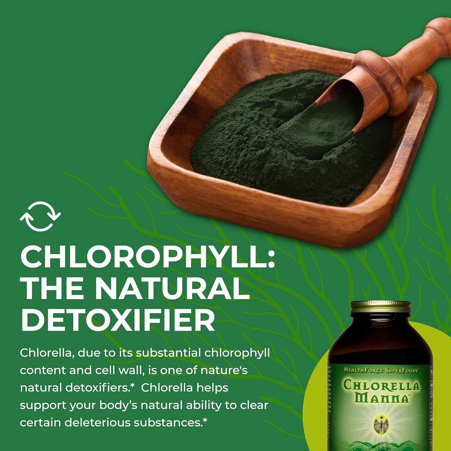 healthforce-superfoods-chlorella-manna-powder-350g---organic-green-superfood-supplement-for-detox-and-immunity-boost-6
