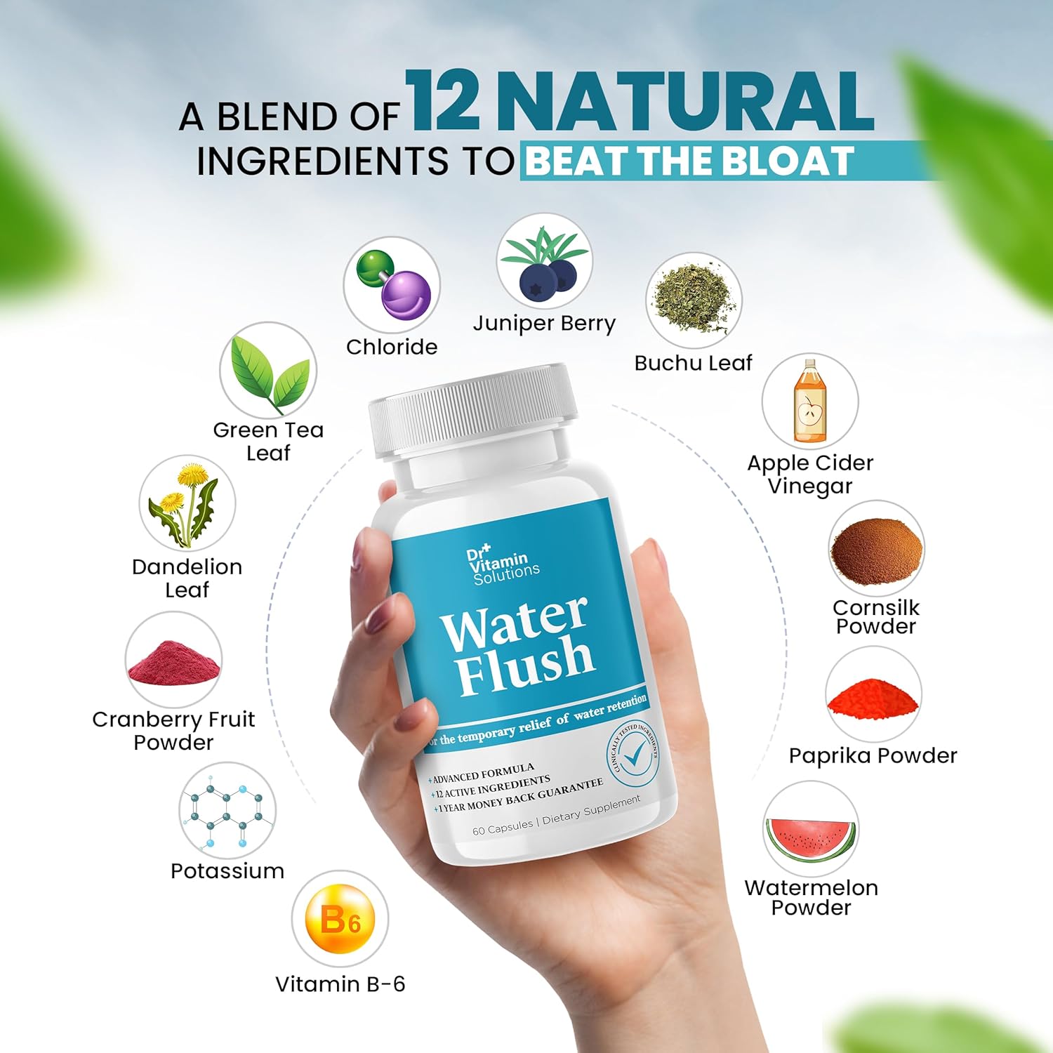 Premium Diuretic Water Pills for Weight Management - 12 Active Ingredients for Bloat Relief, Water Retention Support - 60 Capsules - Espot.com.au