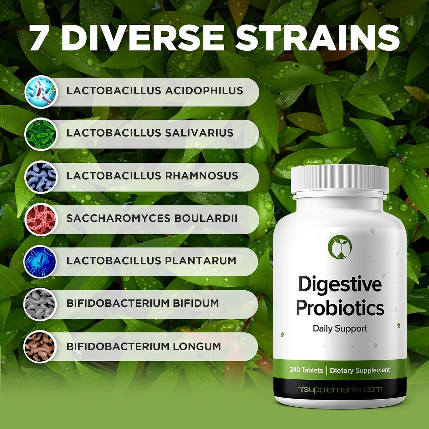 digestive-health-probiotic-supplement-with-3-billion-cfu-240-tablets-for-men-women---natural-foundation-supplements-for-gut-health---made-in-the-usa-5