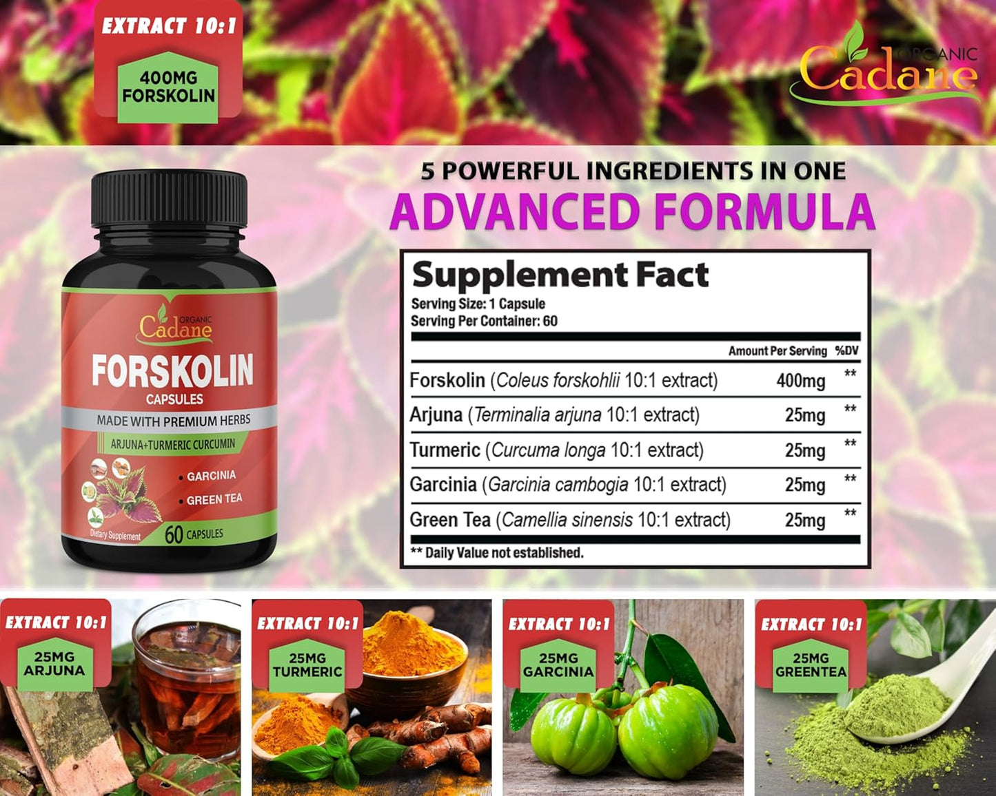 2-pack-organic-forskolin-supplements-capsules-with-turmeric-arjuna-garcinia-cambogia-green-tea---maximum-strength-coleus-forskohlii-extract---boost-energy-immune-system-support-3