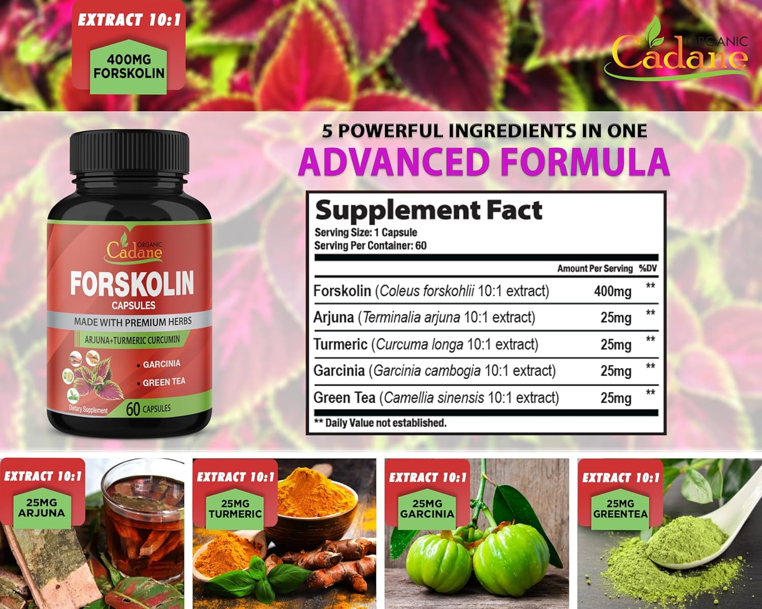 2-pack-organic-forskolin-supplements-capsules-with-turmeric-arjuna-garcinia-cambogia-green-tea---maximum-strength-coleus-forskohlii-extract---boost-energy-immune-system-support-3