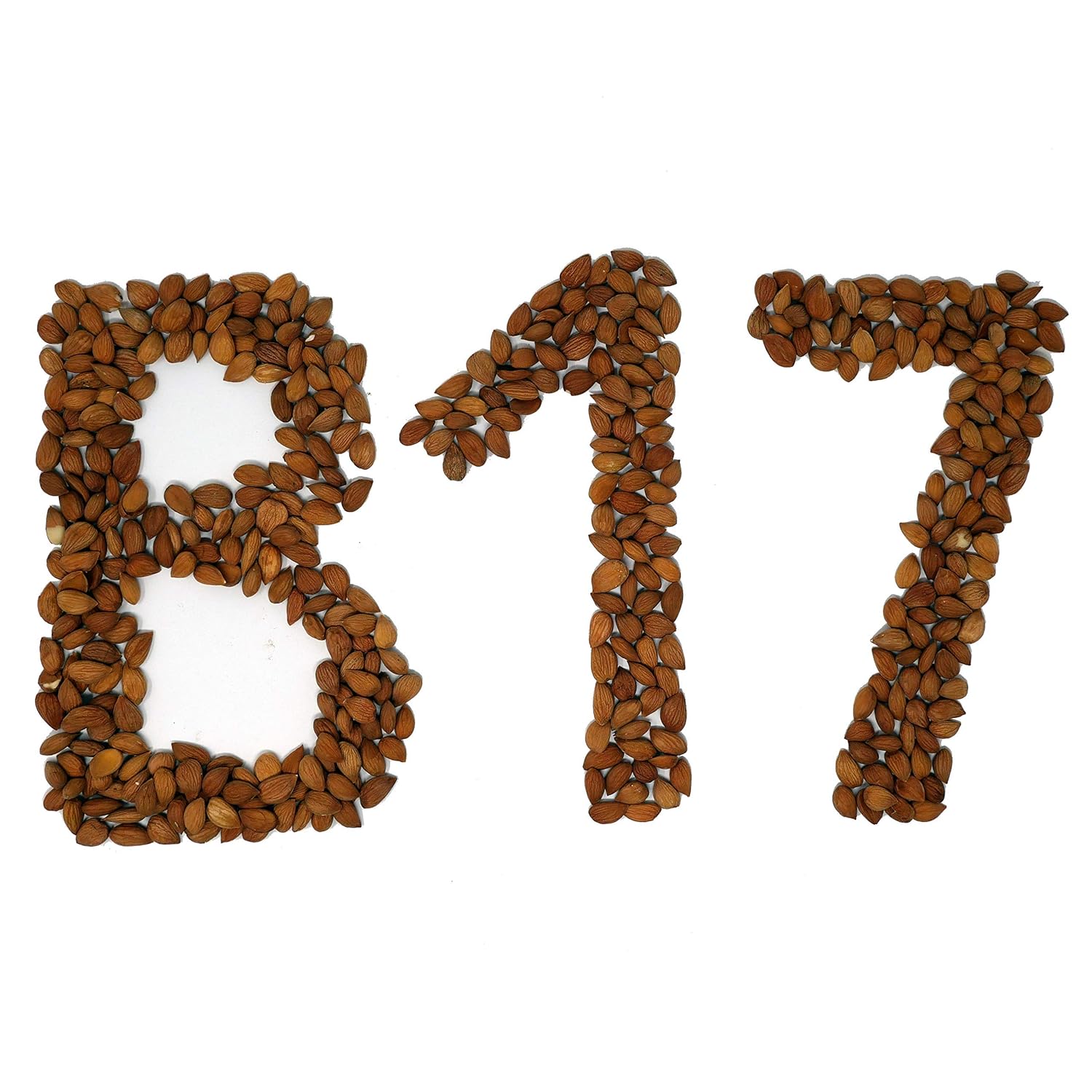 arashan-apricot-seeds---sweet-raw-apricot-kernels-from-kyrgyzstan-sundried-with-60-oil-1-lb-pack-5