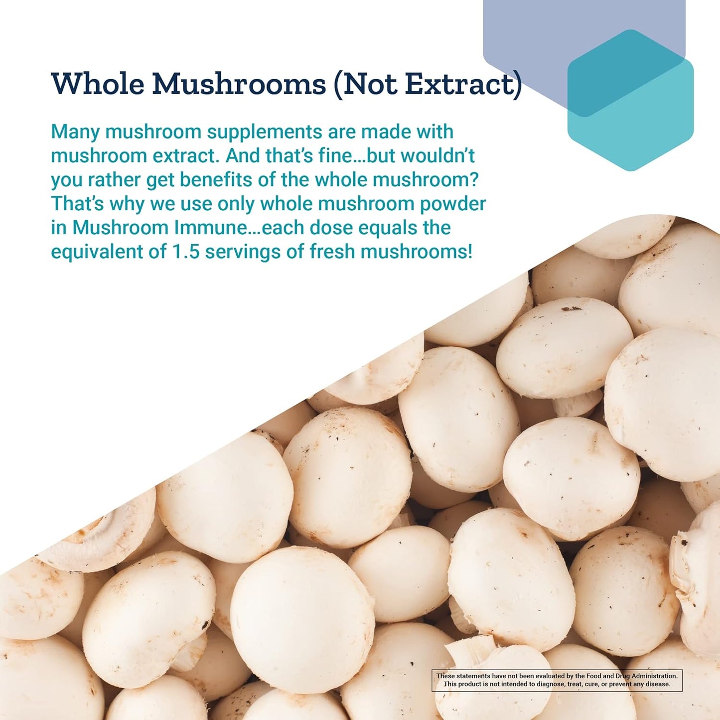 mushroom-immune-support-supplement-with-beta-glucans-for-longevity-5