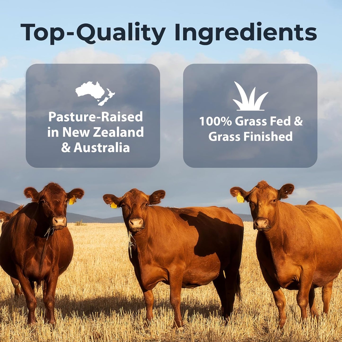 premium-grass-fed-beef-organs-supplement-for-energy-wellness---liver-heart-kidney-pancreas-spleen---non-gmo---180-capsules-4