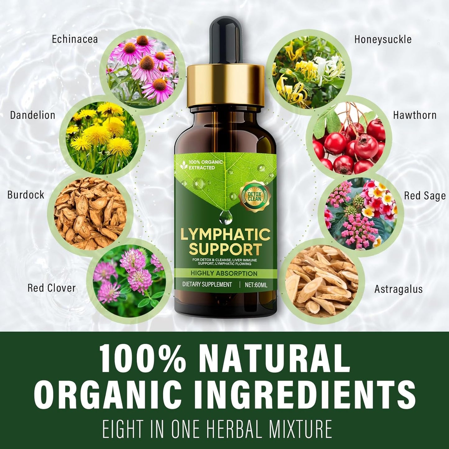 lymphatic-drainage-drops-with-red-clover-extract-for-edema-relief-and-immune-support-4