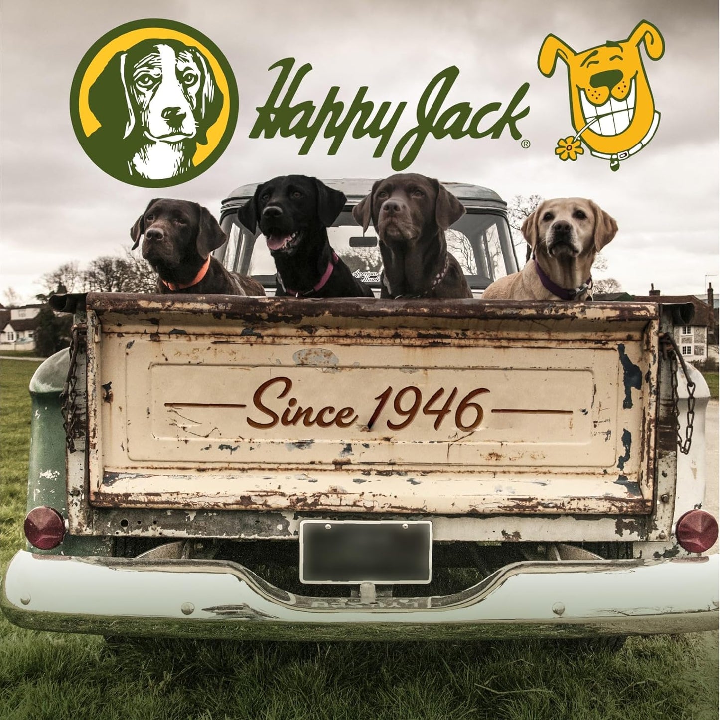 skin-and-coat-supplement-for-dogs-cats---happy-jack-dermaplex-14oz---promotes-hair-growth-for-pets-with-eczema-hot-spots-mange-infections-and-wounds-6