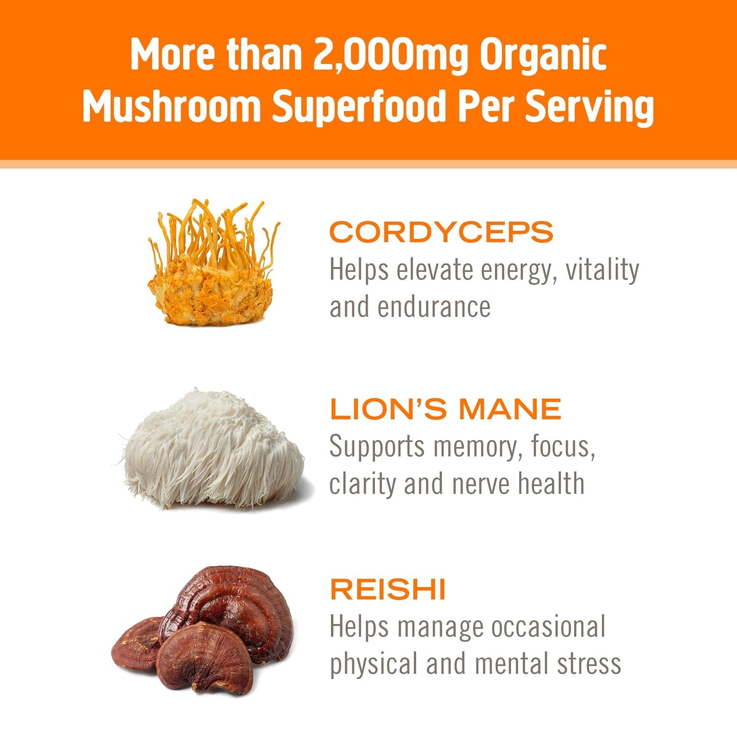 citrus-orange-mushroom-superfood-energy-drink-mix---10-pack-single-serve-with-cordyceps-yerba-mate-tumeric-vitamin-b-complex---pre-workout-immune-support-blend-6